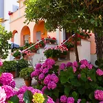 Amadei Blumen Pesaro