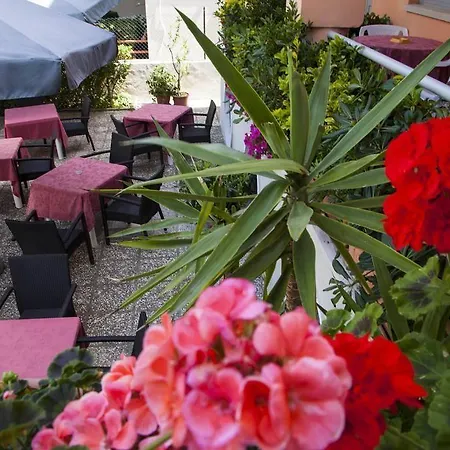 Amadei Blumen Hotel Pesaro